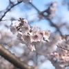 できた！でヤル気⤴︎娘さんの『調理に挑戦』を応援したい！　〜朝ご飯の準備〜