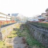 石神井川_東伏見橋~溜渕橋_カワセミいた！！（西東京市）