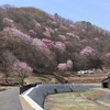 風情たっぷり、福島県の絶景「山桜スポット」7選