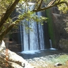 お彼岸明けの釣行　山桜に岩ツツジ