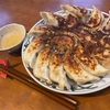 いろんな「お取り寄せ餃子」をミックスして焼くのにハマってる