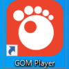 久しぶりにGOM Playerを使ってみた