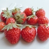 ★ イチゴ
