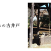 村はずれの古井戸