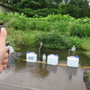 真狩村の湧き水の里に水を汲みに行ってきたぜえ。