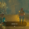 ゼルダの伝説 Breath of the Wild のとあるプレイ記録 4