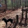 Red River Gorge　日帰りハイク　その３　Chimney Top Rock Trail