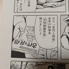 花咲爺論序説