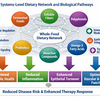 論文日本語版「単一栄養素を超えて：ヒトの代謝と上皮の健康のためのシステムレベルの枠組みとしての低ナトリウム・ホールフード食事ネットワーク」