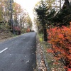 森のお散歩 in 軽井沢🍂