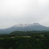 ついに、梅雨入り。