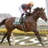 競馬初心者必見☆馬券予想🔥〜ユニコーンステークス〜購入馬券大公開㊙︎