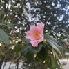 「寂しいよ」と言ってみること。