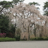 「中国青花と染付磁器－京都の鹿背山焼」～大和文華館