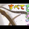 ２４時間テレビは見ない！！KENTANTAI 健啖隊 けんたんたいの釣り動画を見る。エビで鯛？ミミズでウナギ？？