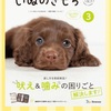いぬのきもち3月号