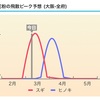 花粉飛散状況は関東の方がひどい