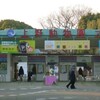 上野動物園-1-
