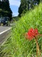 脳梗塞・還暦｜今までになかったことが起こる時代｜ リスクを小さくし、かつ分散させる