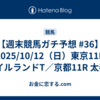 【週末競馬ガチ予想 #36】2025/10/12（日）東京11R アイルランドT／京都11R 太秦S