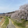 こだま千本桜