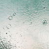 梅雨を乗り切る環境作りと対策