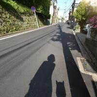 アロマとヨガは相思相愛☆彡　健康の秘訣はね　…　孫は優しい……よ！　って？