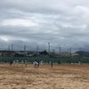 本日もサッカー三昧です。