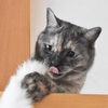 ほたるちゃんの巻