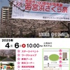 西宮浜｜2025年4月6日（日）さくら公園で『第9回🌸西宮浜さくら祭』が開催されます