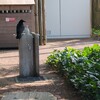 水が欲しいカラス