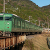 🚞草津線を撮る！絶滅寸前国鉄型113系と117系