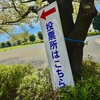 今朝は選挙の投票へ