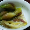 物忘れする野菜？