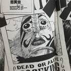 ワンピース しのぶ 声優は 山本百合子 出演作をご紹介 何話 何巻 Com