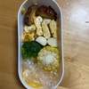 【小1ハム子】初めて自分で作ったお弁当