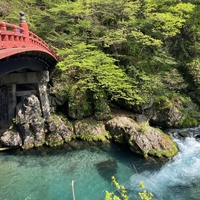 江戸の名建築 日光東照宮に行ってきました