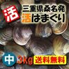 ハマグリの旬を楽しむ！　美味しいハマグリの見分け方と保存方法