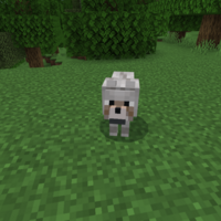 マイクラ オウムの特徴まとめ マインクラフト Sくんのminecraft