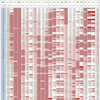 新型コロナウイルス、国別・人口あたり新規感染者数（10月13日現在） /  COVID-19 cases per population by country, as of October 13