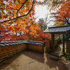 小田原市板橋　　松永記念館　紅葉　2015