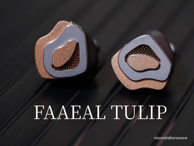 「FAAEAL TULIP」PETダイアフラムによるパワフルな低音と開放デザインによる抜けの良い金属イヤホン〈PR〉