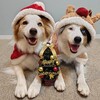 クリスマス🎅🎄🎁✨