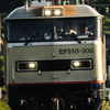 2024/08/04 8056レ EF510 306号機