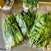 野菜直売所のミノリ農産で買った3種の葉野菜でおかず作り