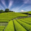 静岡県を巡る旅行記：茶畑の緑と富士山の青