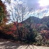 栗の季節