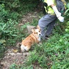 ついうっかり宇津峰登山