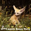  ジブリ meets Bossa Nova　オムニバス