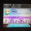 【USUM 野菜シングル構築】３時間クッキング：受け回しサラダ